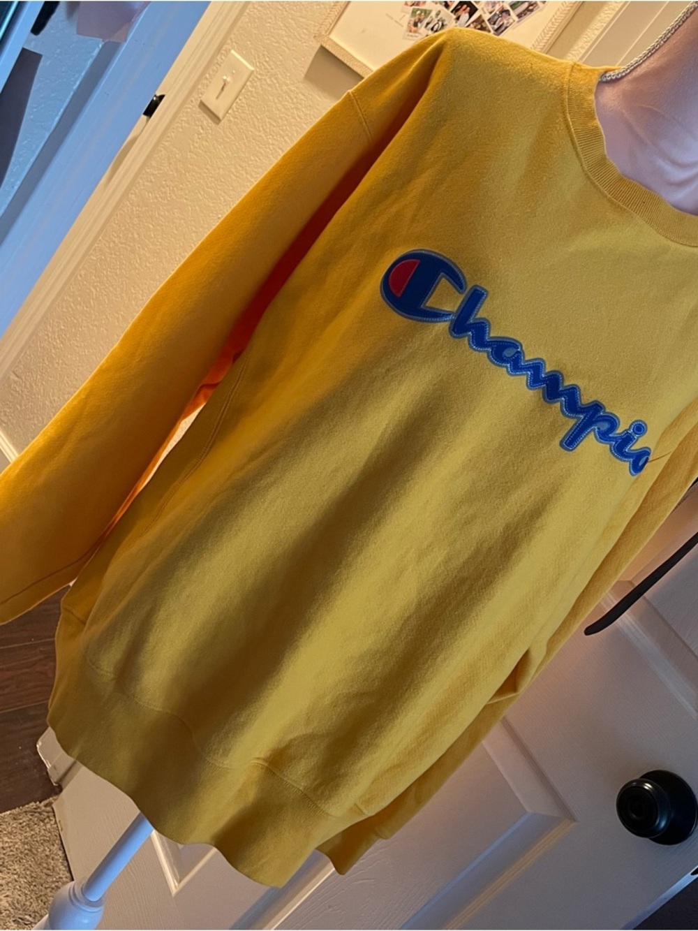 Champion Sweatshirt